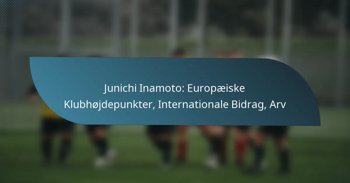 Junichi Inamoto: Europæiske Klubhøjdepunkter, Internationale Bidrag, Arv