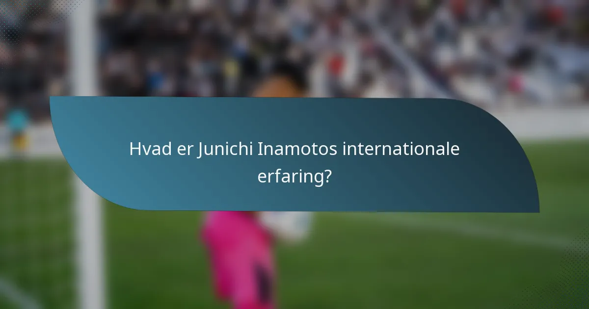 Hvad er Junichi Inamotos internationale erfaring?
