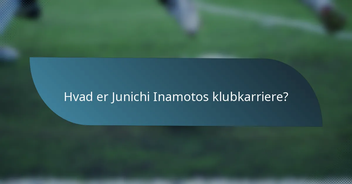 Hvad er Junichi Inamotos klubkarriere?