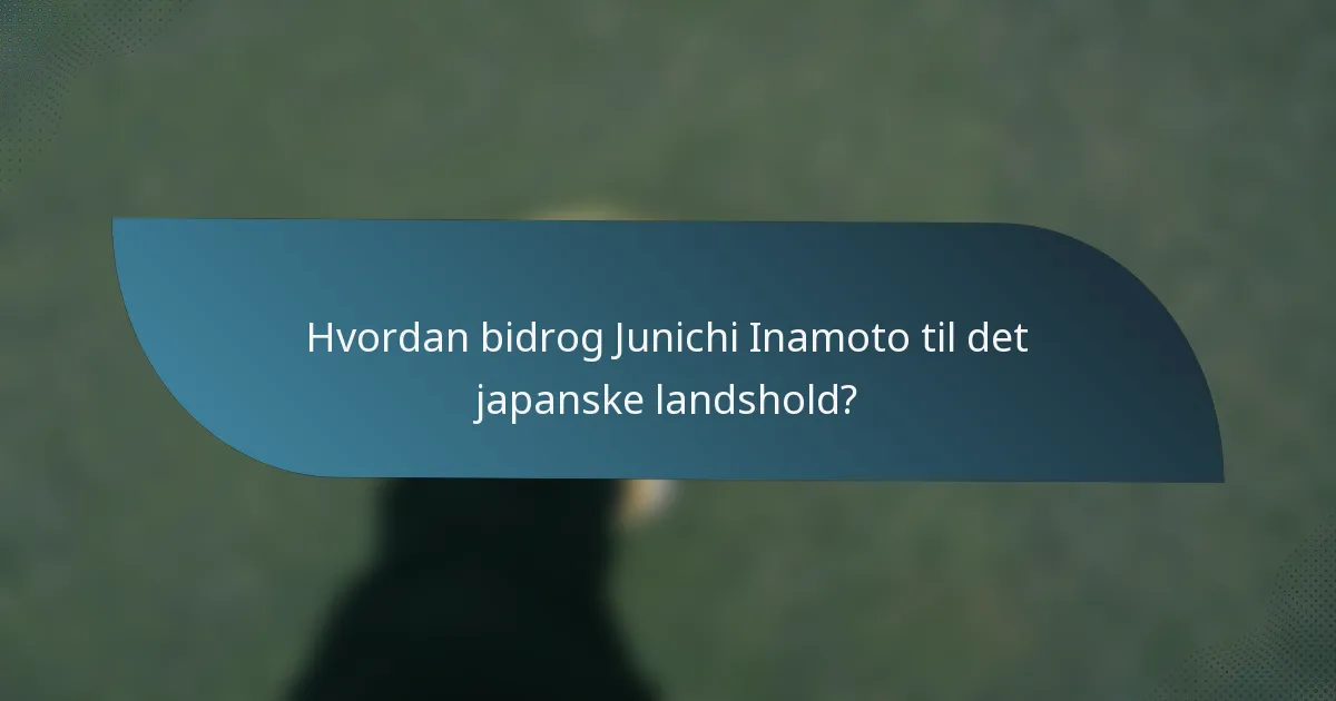 Hvordan bidrog Junichi Inamoto til det japanske landshold?