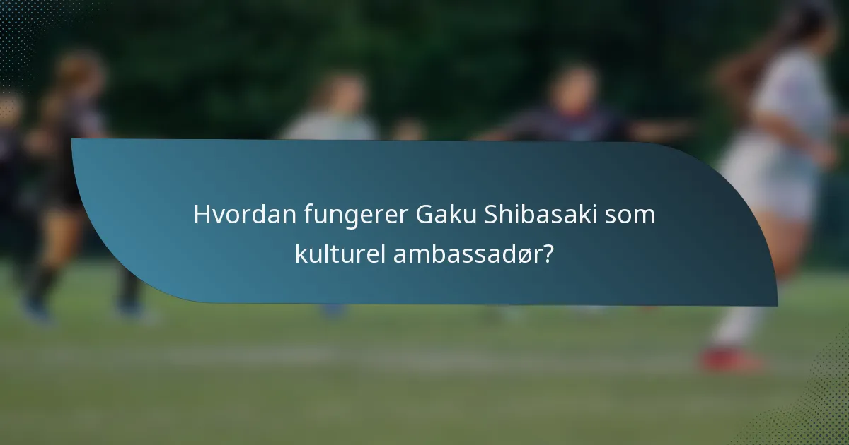 Hvordan fungerer Gaku Shibasaki som kulturel ambassadør?
