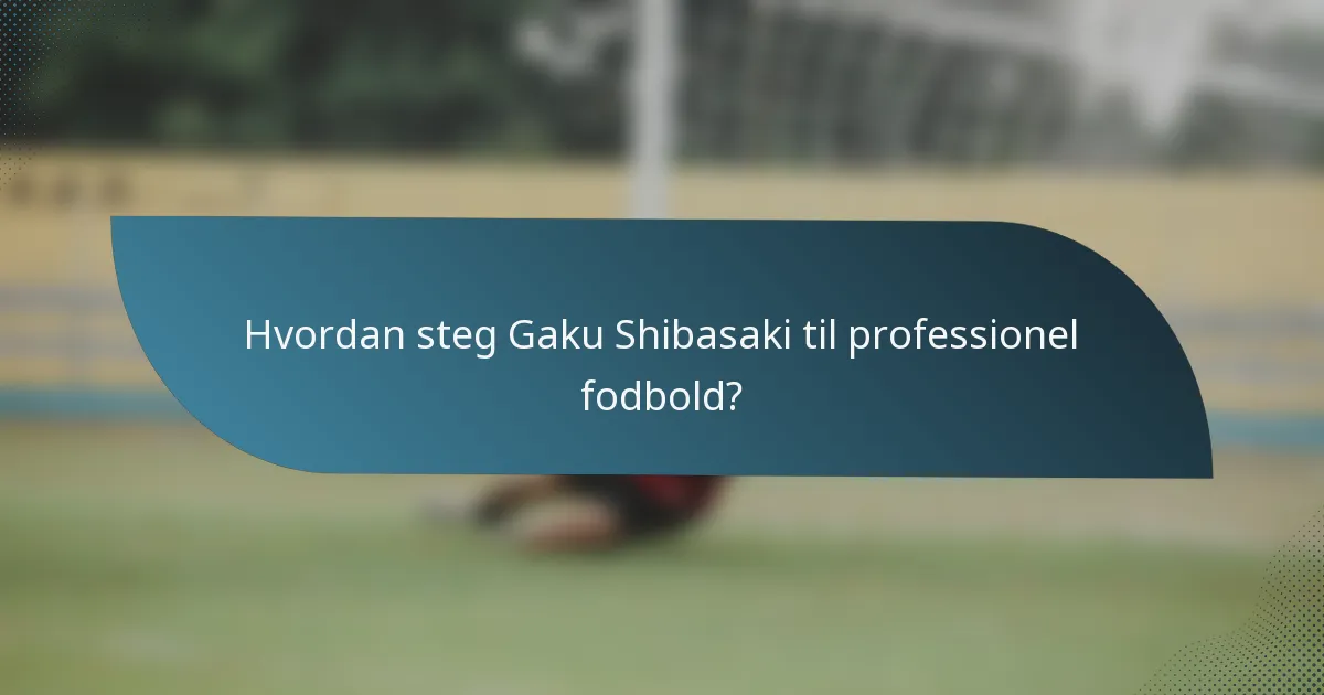 Hvordan steg Gaku Shibasaki til professionel fodbold?